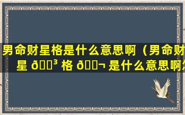 男命财星格是什么意思啊（男命财星 🌳 格 🐬 是什么意思啊怎么看）